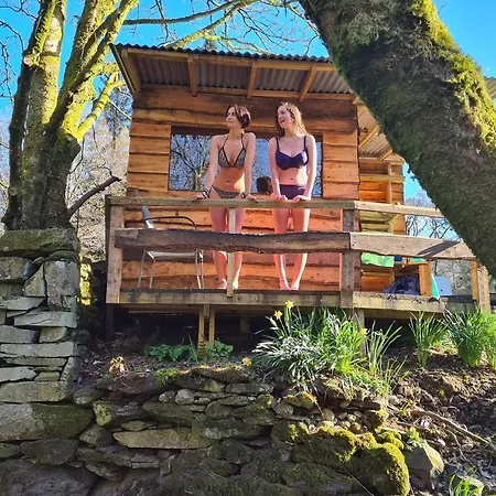 Campsite Cabin 3