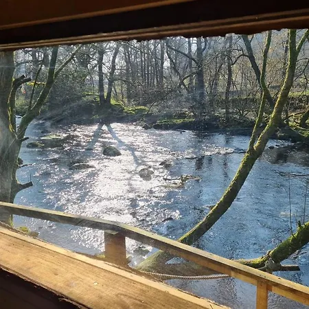 Cabin 3